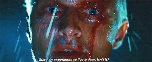 Article GIF